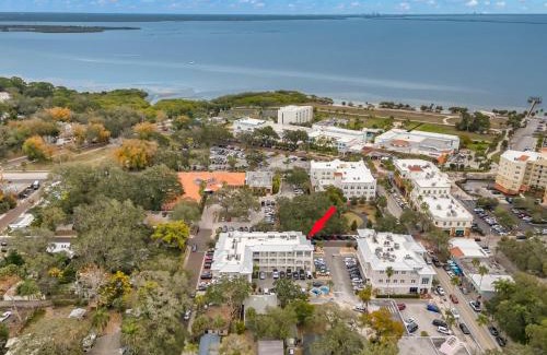 Safety Harbor Apartment | NEW! Canopy Cabana - Luxury Downtown Apartment
