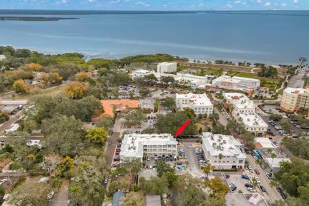 Safety Harbor Apartment | NEW! Canopy Cove, Luxury Downtown Apartment Near Main St