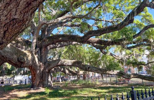 Safety Harbor Apartment | NEW! Canopy Cove, Luxury Downtown Apartment Near Main St