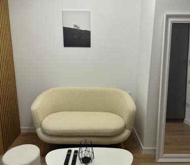 Ramnicu Valcea Apartment | New concept living