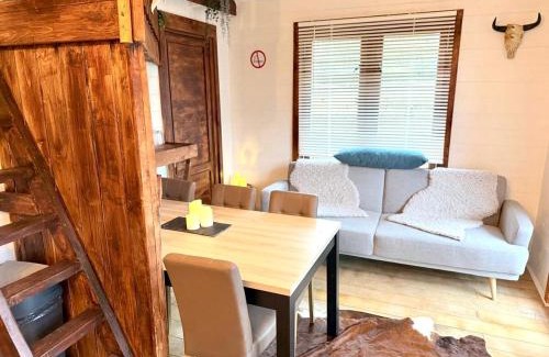 Vijfhuizen Ski Chalet | New cozy chalet and private garden with sauna and outdoor bath near Amsterdam