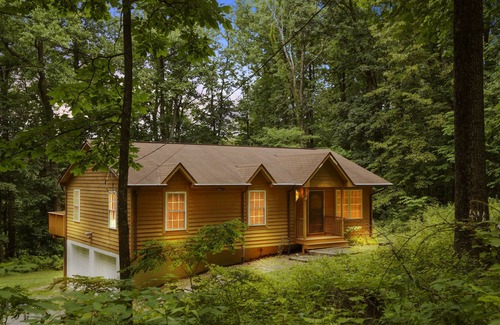 Front Royal Cabin | NEW Freedom Lodge in Shenandoah