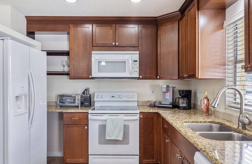 Palm Harbor House | NEW LISTING DISCOUNT! 3 mi to beach Pool Game room Grill,Pets Murals Lake Tarpon