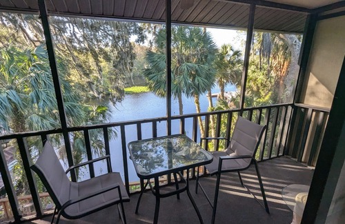 Dunnellon House | New Listing Discount! Riverfront Townhome w/Boat Slip,Beautiful Views!