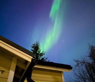 Rovaniemi Ski Chalet | NEW - Luxury Loft
