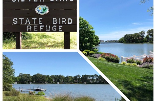 Ann Acres House | NEW OPENING AUG 17 WEEK - GRAB IT NOW! HOT TUB, Easy Walk to Beach, Bay,Townn
