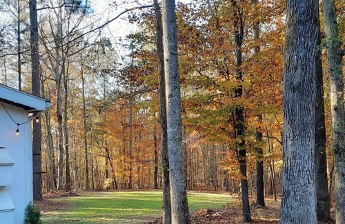 Inman Cabin | New Tiny House coming to Dirt Road Farms, pet-friendly & availble September 15th