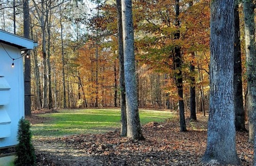 Inman Cabin | New Tiny House coming to Dirt Road Farms, pet-friendly & availble September 15th