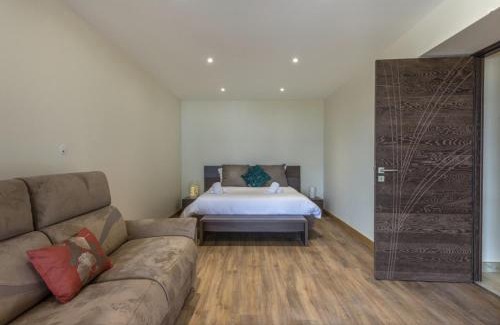 Sevrier Apartment | NEW! Villa l'or bleu -DUPLEX & MAINFLOOR- by Les éclectiques