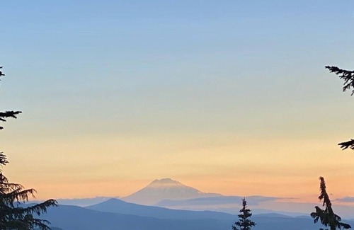 Rhododendron Cabin | NEW! Wy'East Cabin!100 year old cedar cabin nestled in the wooodland of Mt. Hood