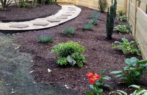Newark Apartment | Newark/Wilmington | Nice 2 Rm suite, UofD, Christiana Hosp & Mall tax free!