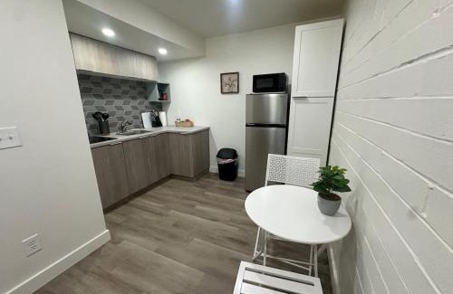 Rochester Apartment | Newly remodeled bright studio