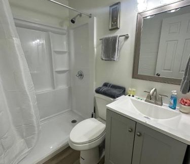 Rochester Apartment | Newly remodeled bright studio