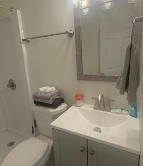 Rochester Apartment | Newly remodeled bright studio