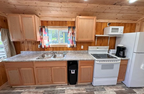 Nevis Cabin | Newly Remodeled! Lakeside Cabin at Green Valley Resort
