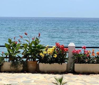 Sitio de Calahonda Apartment | Newly Renovated 2 Bedroom Beachfront House