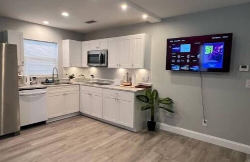 Lake Panasoffkee House | Newly renovated vacation house!