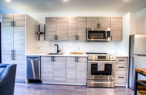 Pointe-Saint-Charles Apartment | Newly renovated bright open condo