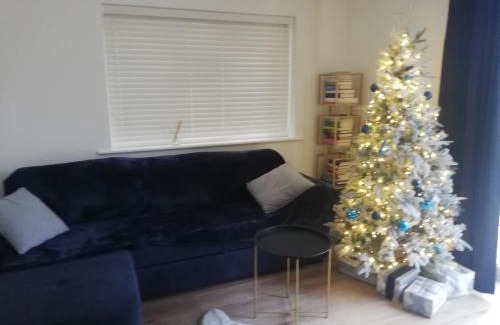 Runnymede Apartment | Newly Renovated Detached House Weybridge Garden Free Parking WiFi Netflix Train Station London Amenities Nature Work Contractors Family Holiday