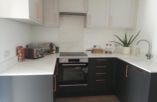 Runnymede Apartment | Newly Renovated Detached House Weybridge Garden Free Parking WiFi Netflix Train Station London Amenities Nature Work Contractors Family Holiday