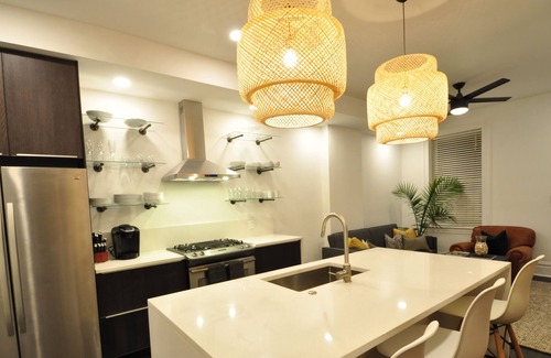 Tower Grove East Apartment | Newly renovated Tower Grove 2 bedroom, 2 bathroom apartment