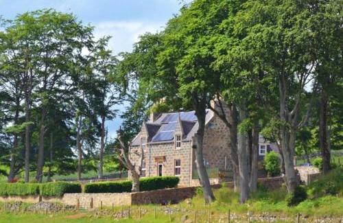 Huntly House | Newseat