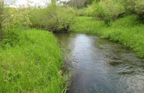 Hill City House | Newton Creek Cabin