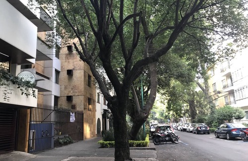 Polanco Apartment | Next to Hyatt Regency