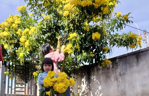 Da Lat House | Ngôi nhà Venno