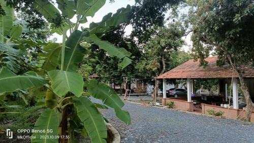 Cu Chi Apartment | Nguyên căn Homestay Mẹ Khang 2