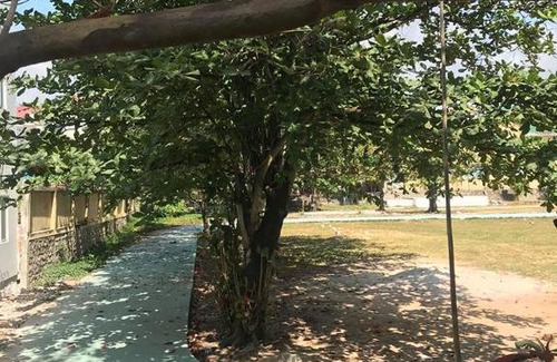 La Gi House | Nhà Nghỉ Trinh Uy