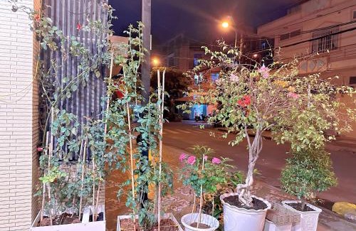 Tan Phu District House | NHÀ PHỐ SÂN VƯỜN entire