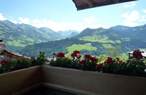Latterbach Apartment | Nice apartment for 7 guests with WIFI, TV, balcony and pets allowed