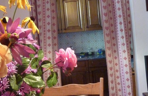 Courmayeur Apartment | Nice apartment in the central via Roma