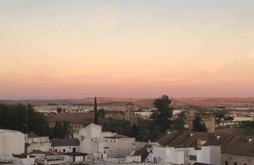 Huerta del Rey Vallellano Apartment | Nice central flat with wonderful views