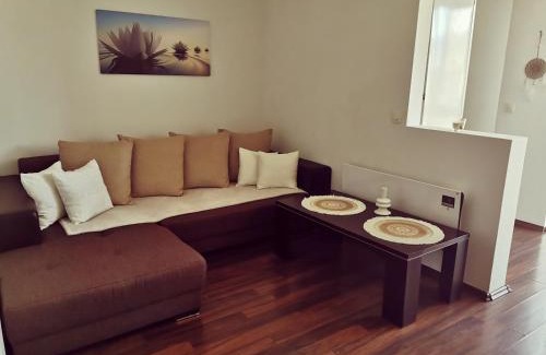 Baia Mare Apartment | Nice & economic Studio
