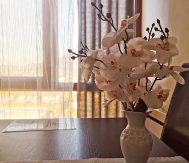 Baia Mare Apartment | Nice & economic Studio