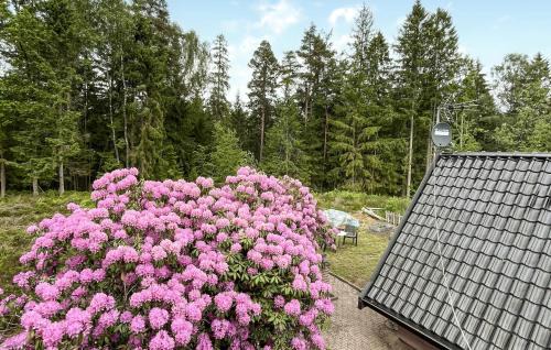 Vittsjo House | Nice Home In Vittsjö With Wifi