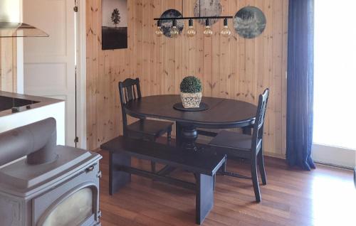 Kviteseid House | Nice Home In Vrådal With Kitchen