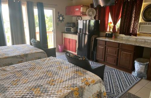Kehena Apartment | Nice Studio w/AC near Kehena Beach and lava fields