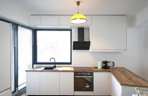 Aviatiei Apartment | Nicolae Caramfil