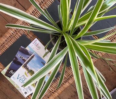 Le Palais Apartment | Nid cosy au cœur de Palais