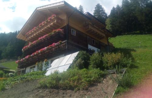 Ultimo Apartment | Niederhaushof
