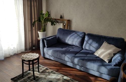 Baluty Apartment | Niezapominajka przy Manufakturze