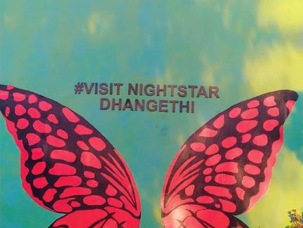 Dhangethi Bed & Breakfast | Night Star Dhangethi