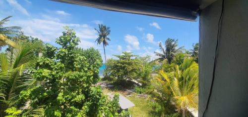 Dhangethi Bed & Breakfast | Night Star Dhangethi