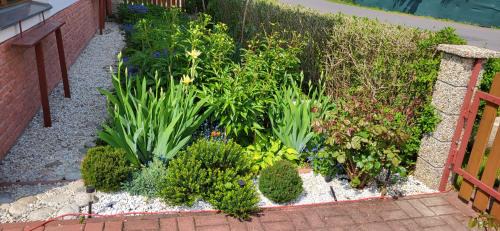 Zavazna Poruba Apartment | Nika07