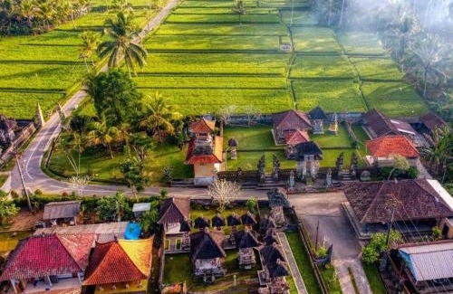 Taro House | Niki Traditional Village