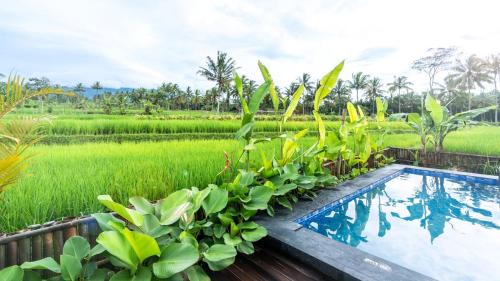 Cangkringan Villa | Nira Meraki Divasha