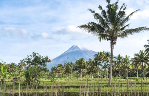Cangkringan Villa | Nira Meraki Divasha